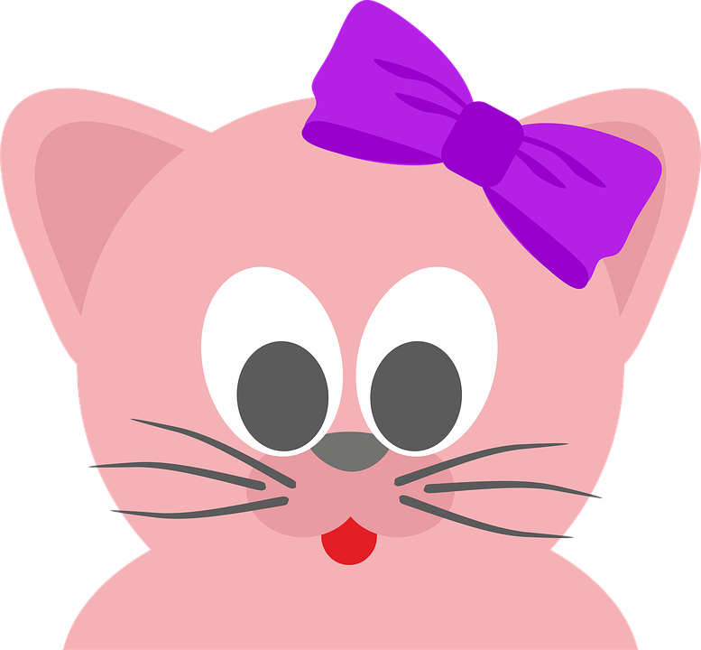 Cat, Kitten, Tomcat, Kitty, Pet, Animal - Cat (777x720)