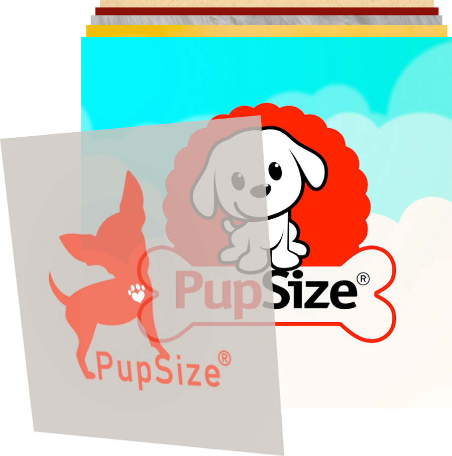 Animals & Pets Logo Design Header - Logo (900x907)