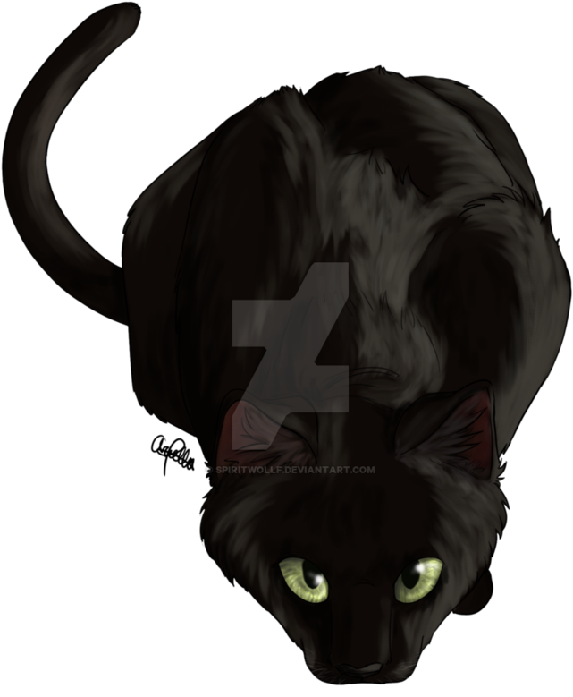 Cat Stalk By Spiritwollf - Black Cat (760x1050)