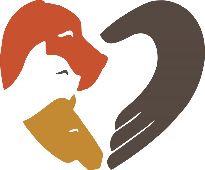 Autotrader And Youmans Chevrolet Offer Free Pet Adoptions - Pet (800x664)