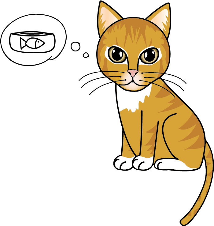 Domestic Short-haired Cat (750x750)