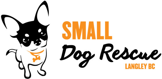 Small Dog Rescue Bc's Mission Is To Place Shelter And - Chihuahua Dog Breed Silhouette Coffee Mug (565x270)