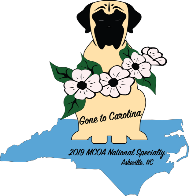 Dog Over 24 Months - Specialty Show (618x640)