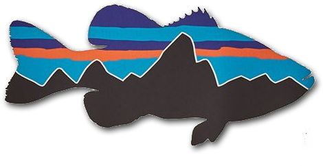 Transparent Patagonia Fish Logo (503x302)