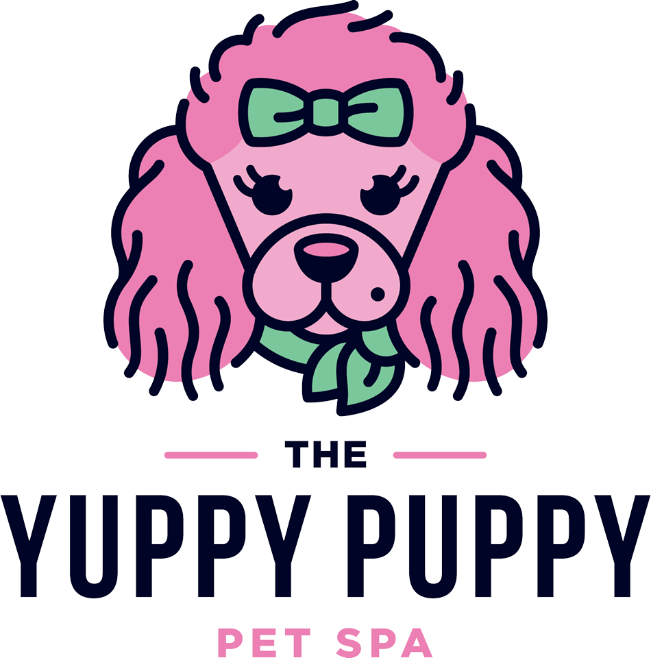 Yuppy Puppy Pet Spa - Yuppy Puppy Pet Spa (950x960)