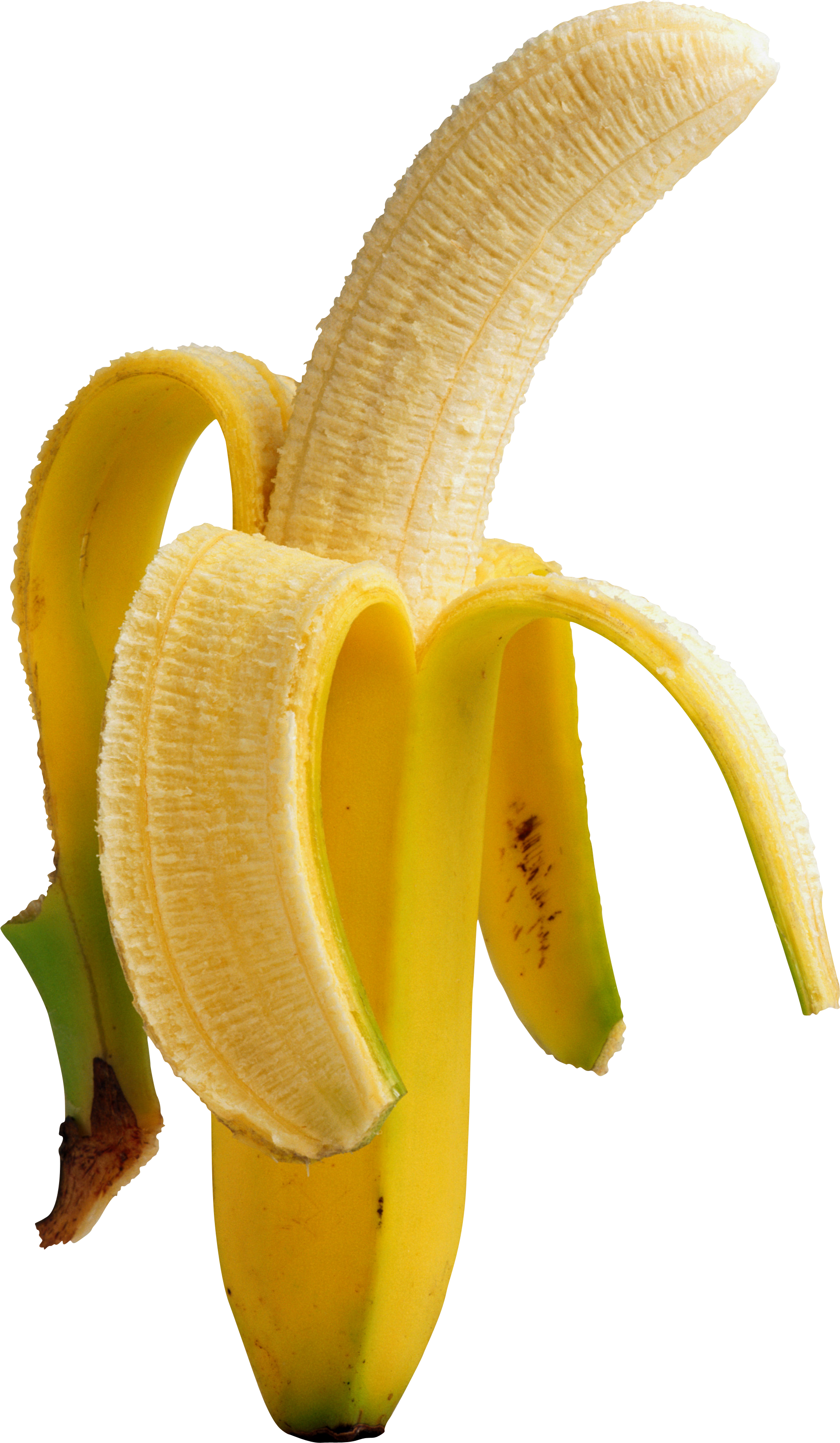 Banana Png Image - Banana Png Transparent (1920x3297)