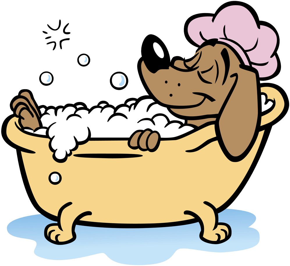 Animal Dog - Dog Taking A Bath (1024x942)