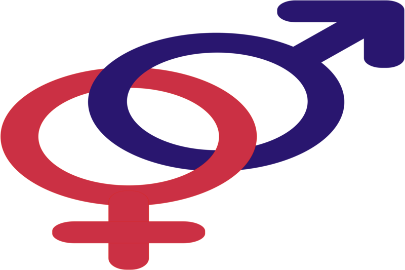 Recent Responsa - Male And Female Symbol Together (800x533)