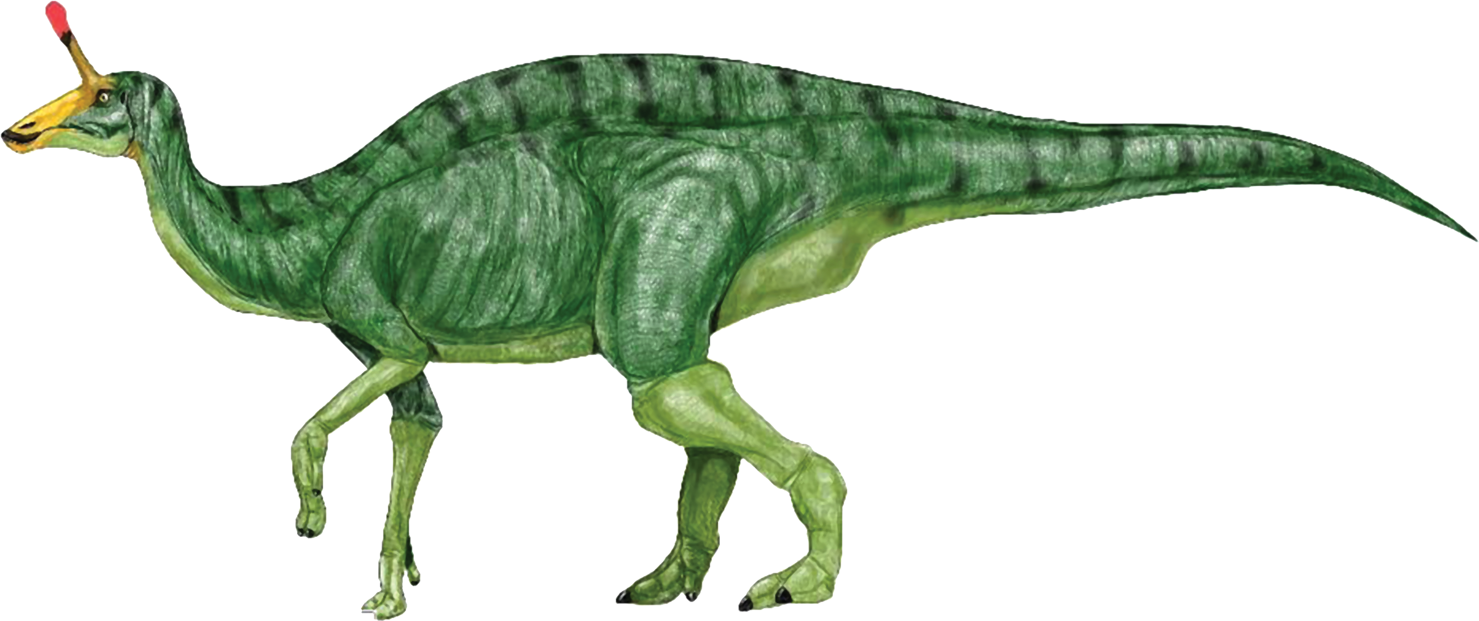 Cute Dinosaur Clipart Free Clipart Images - Dinosaur Images Free (2991x1279)
