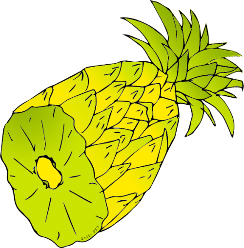 Pineapple Freshfruit Tropical Drawing Fruit Yellow - Pineapple Freshfruit Tropical Drawing Fruit Yellow (500x510)