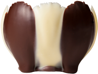 White Chocolate Athena Cups - Chocolate (384x384)