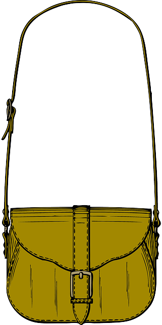 Women Bag Clipart 7 - Women Bag Clipart 7 (320x640)