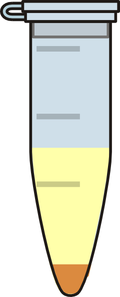 Eppendorf Tube (240x593)