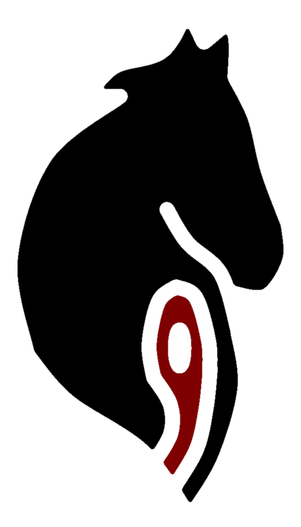 Paladin Nine Security - Emblem (600x1049)