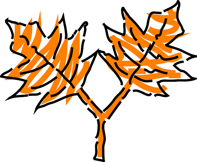 Leaf, Tree, Orange, Plant, Leaves, Oak, Stem - Leaf (640x527)