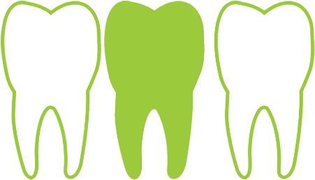 Restore Tooth Structure - Human Tooth (450x450)