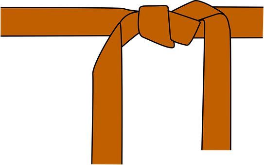 Karate Judo Belt Orange Brown Martial Arts - Taekwondo Green Belt Meaning (543x340)