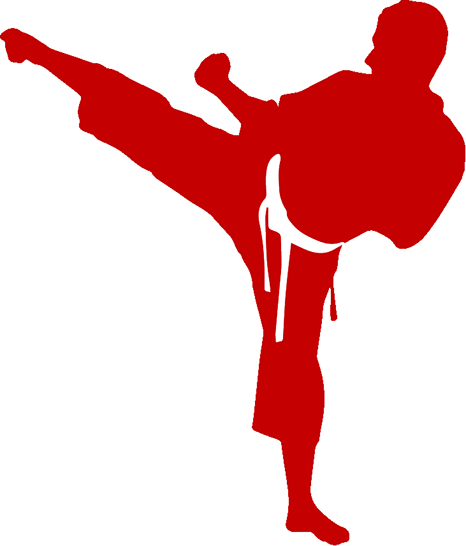 Lean Six Sigma White Belts (466x546)