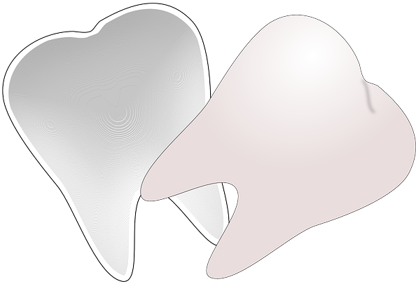 Tooth Clip Art (640x510)