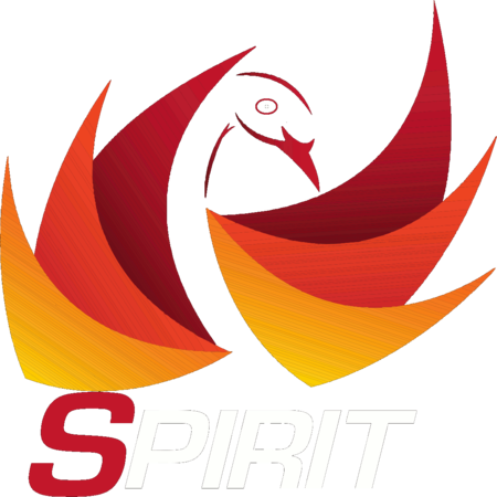 Spirit Martial Arts - Illustration (450x450)