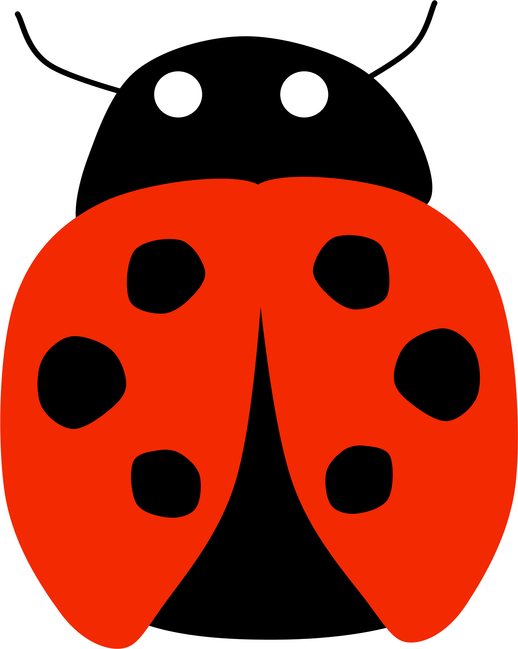 Free Lady Bug - Transparent Background Ladybug Clipart (1799x2254)