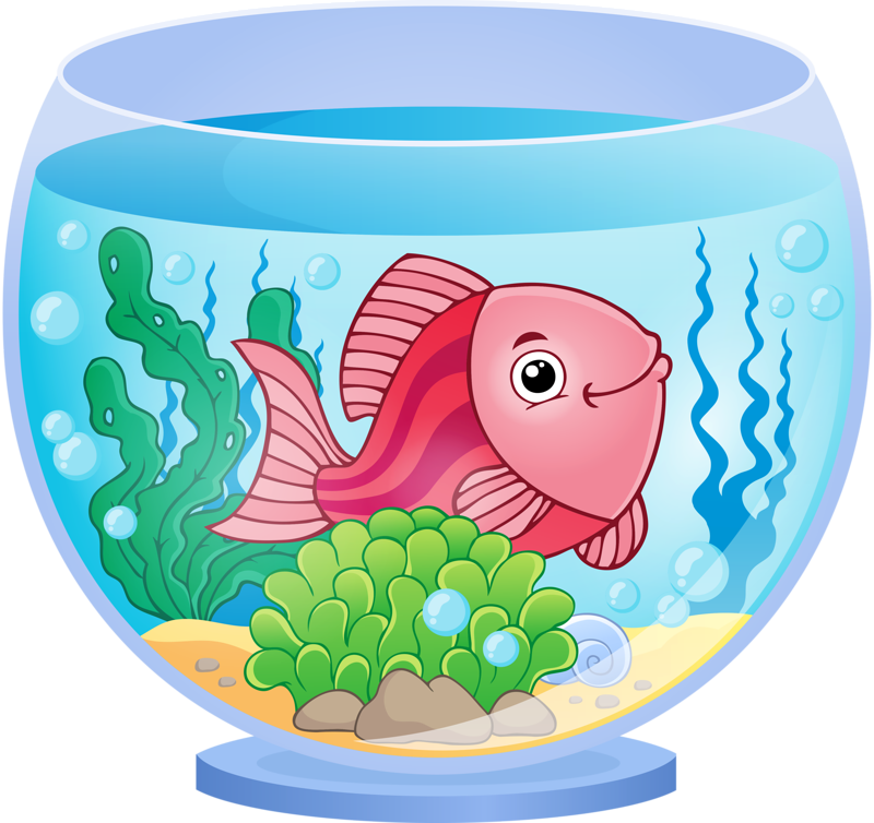 Fish Kiss Clip Art - Fish In Aquarium Clipart (800x754)