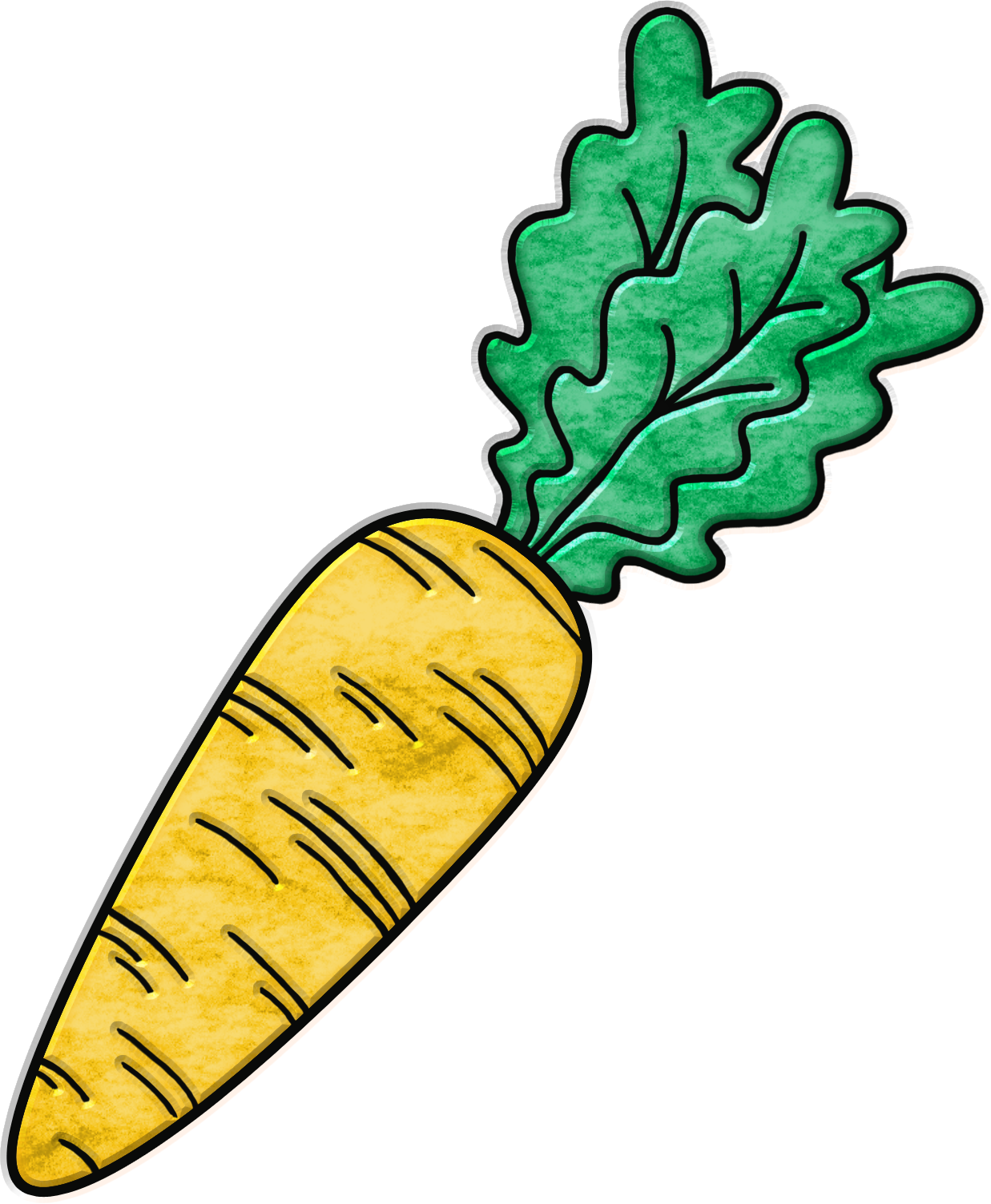 The Next Few Didn't Make The Cut - Arracacia Xanthorrhiza (1237x1503)