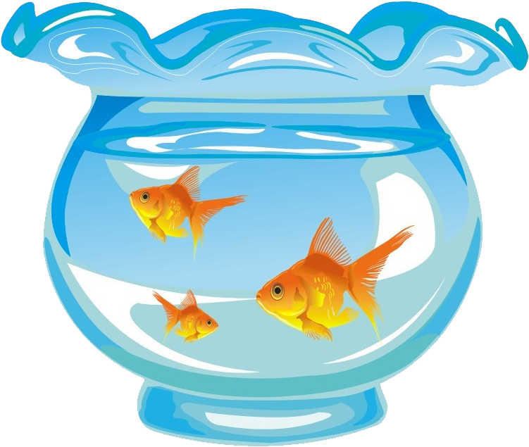 Goldfish Aquarium Fishkeeping - Goldfish In Fish Tank Cartoon (886x660)