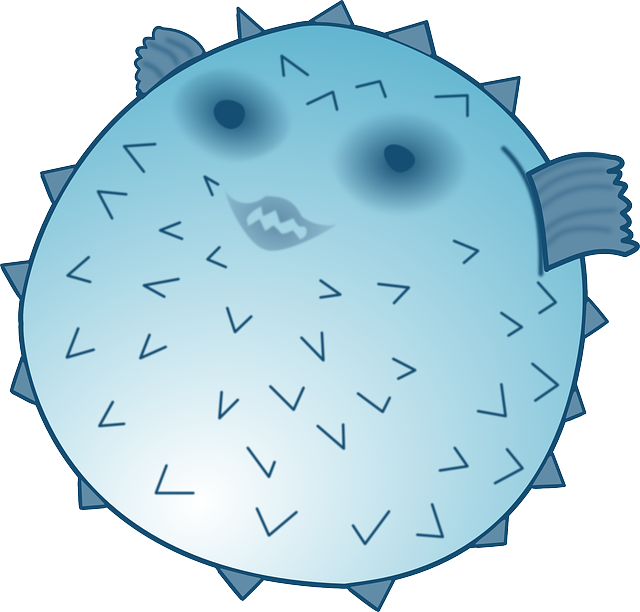 Free Photo Underwater Thick Boxfish Swim Puffer Fish - Blowfish Clipart Png (640x612)