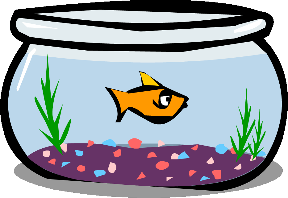 Fish Bowl - Fish In A Bowl Gif (933x642)