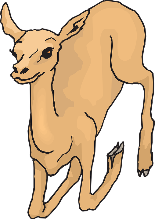 Fleeing Deer, Wild, Running, Forest, Leaping, Animal, - Deer (508x720)