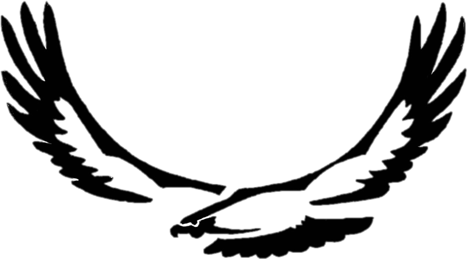 Try Fly Vinyasa® And Feel The Freedom Of Lift - Eagle (1024x793)