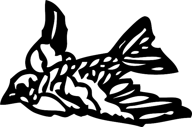 Bird, Flying, Wings, Feathers, Fly, Animals - Small Bird (640x423)