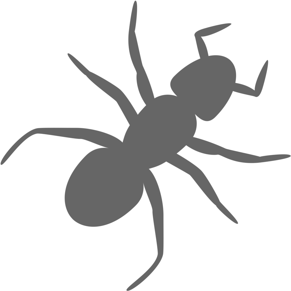 Ant Clip Art - Ant Clipart Transparent Background (958x958)
