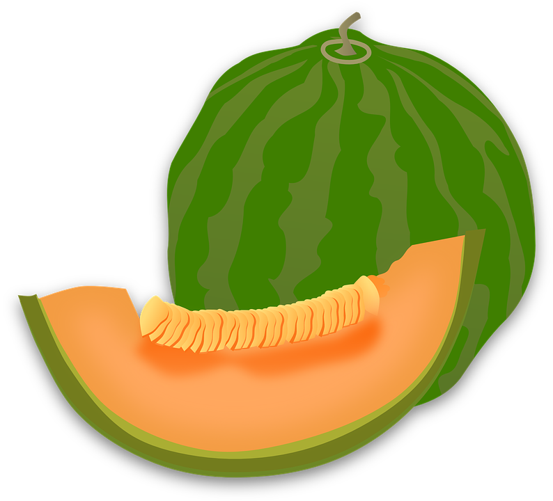 Cucumber Cliparts 9, - Melon Cartoon (794x720)
