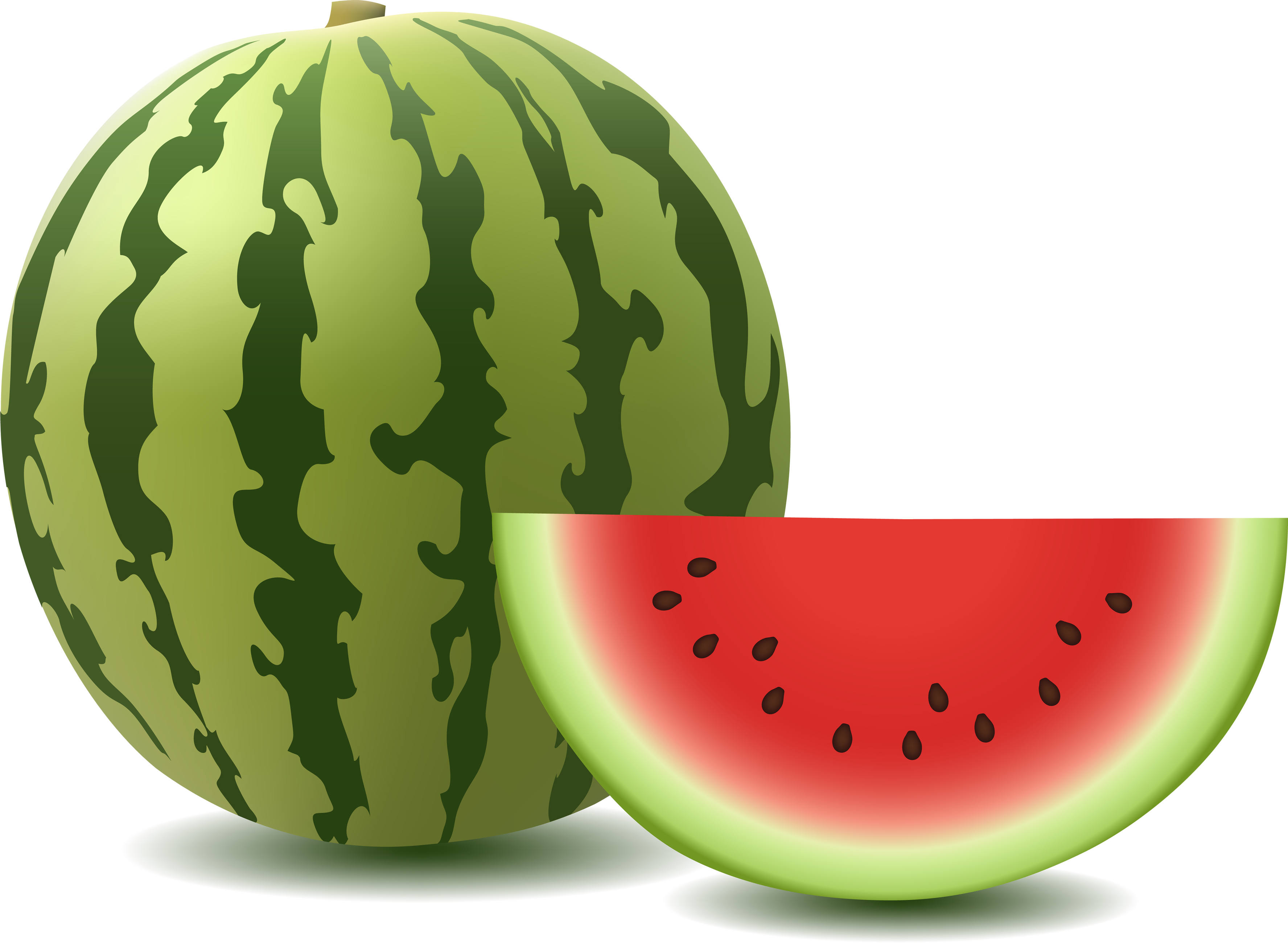 Cucumber Clipart Watermelon Plant - Watermelon Png (3551x2599)