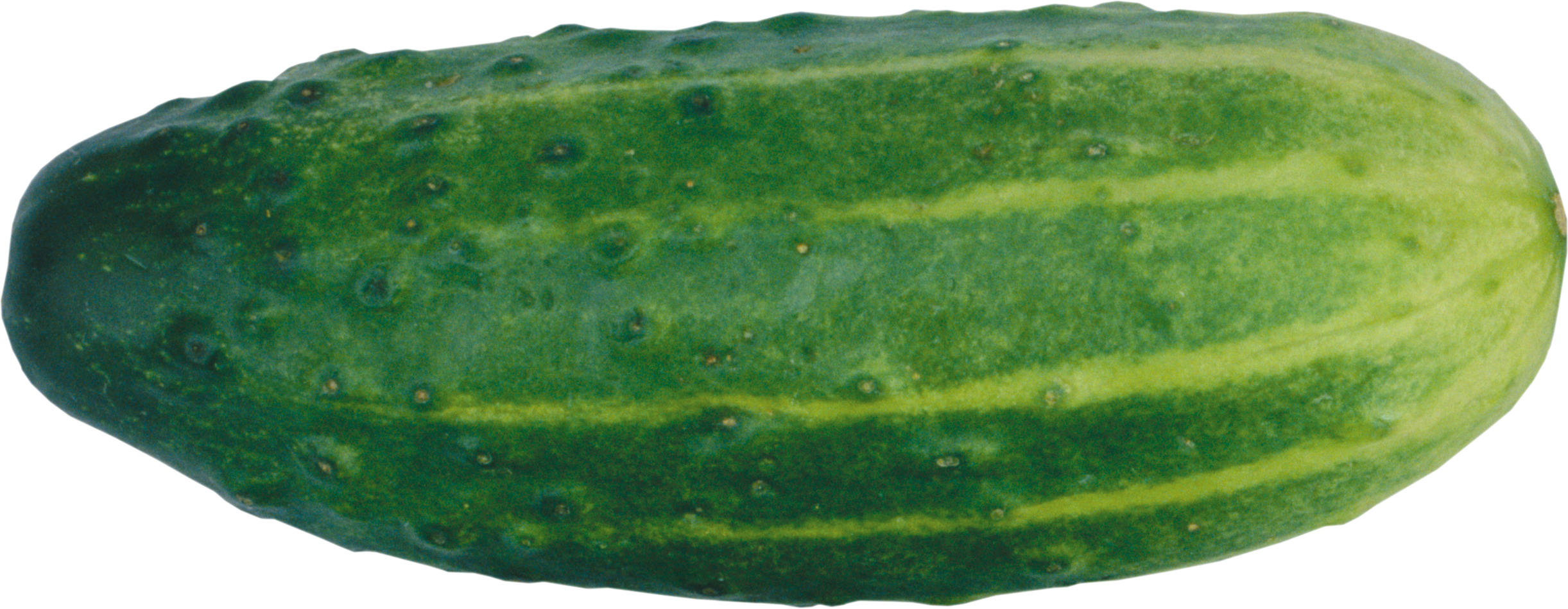 Cucumber Clipart Transparent - Cucumber With Transparent Background (2443x949)
