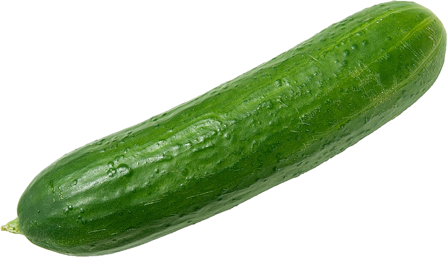 Cucumber Clipart Transparent - Cucumber Png (908x522)