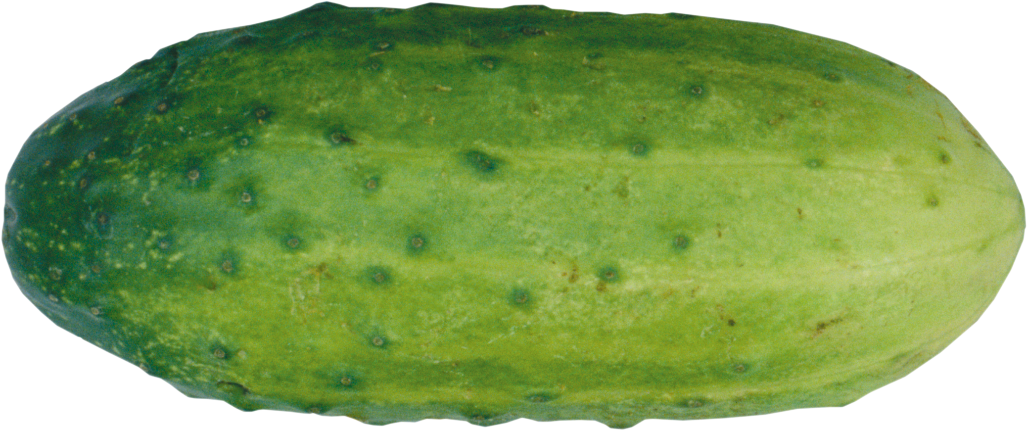 Cucumber Clipart Green - Огурец Png (2443x949)