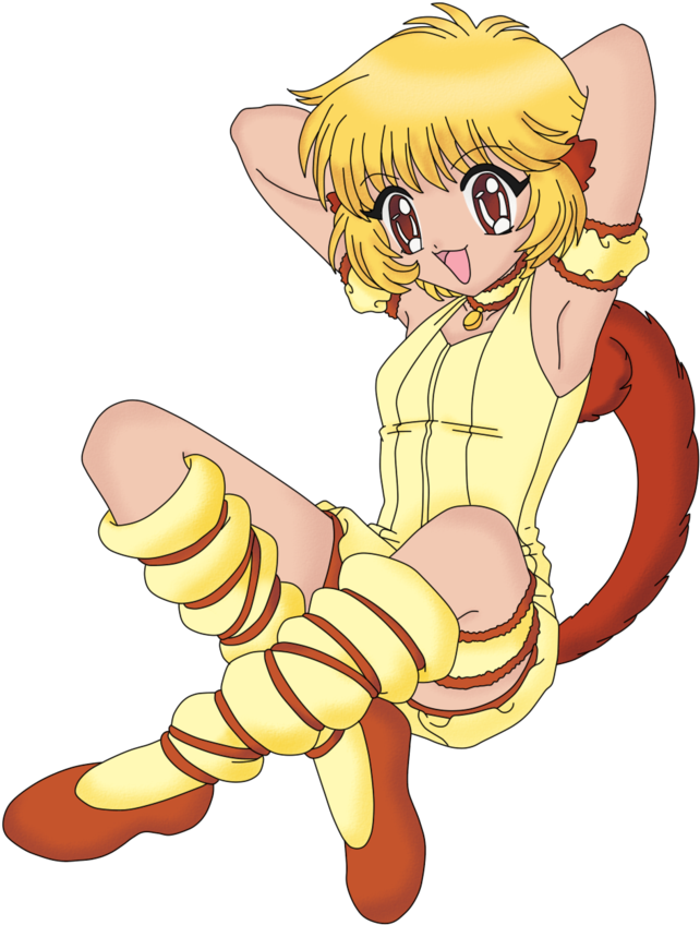 Mew Pudding By Ddrwinxfan - Tokyo Mew Mew Pudding (786x1017)