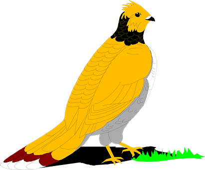 Grouse, Bird, Grass, Wings, Ruffled - Clip Art (411x340)