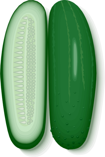 Sliced Cucumbers - Cucumber (335x500)