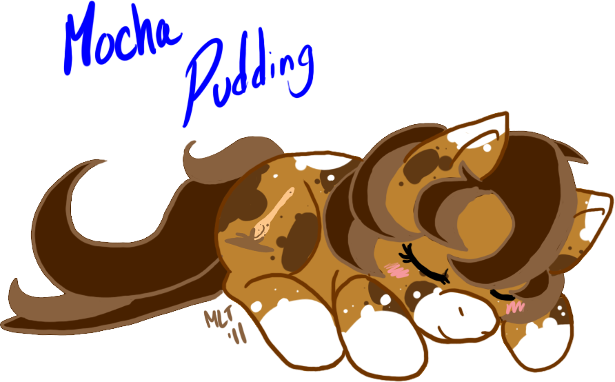 Mocha Pudding - Mocha Pudding (892x554)