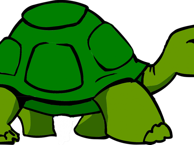 Slow Clipart Near - Turtle Talk Speech Therapy (640x480)