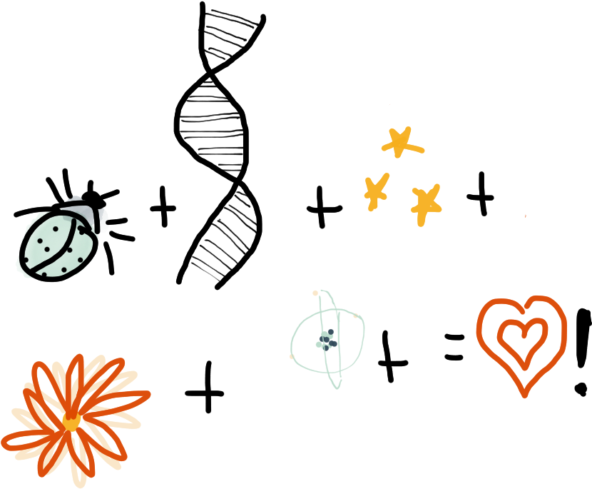Science Graphic Designer Clip Art - Science Graphic Designer Clip Art (899x727)