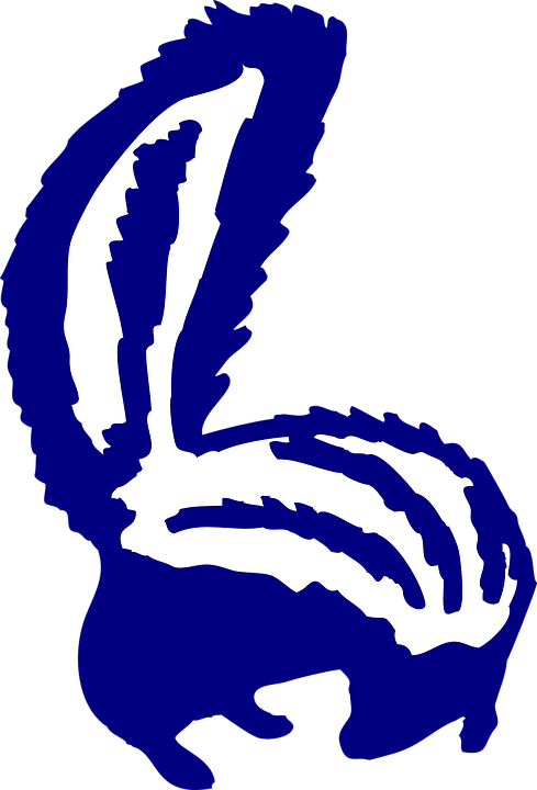 Buy Clip Art - Sign Skunk Xing 12 X 12 Inch Aluminum (500x736)