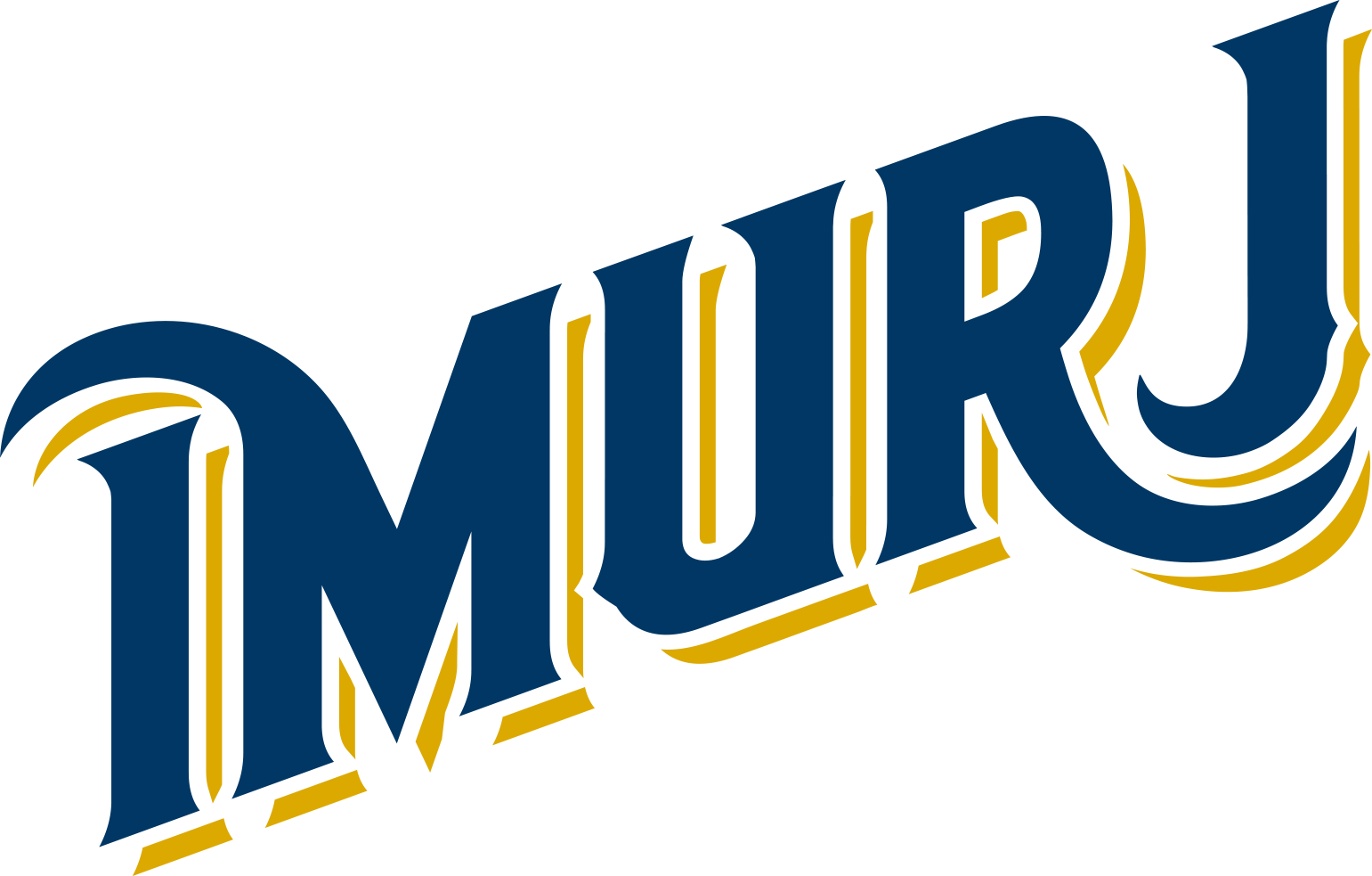 Imurj Logo - Imurj Raleigh (1541x983)