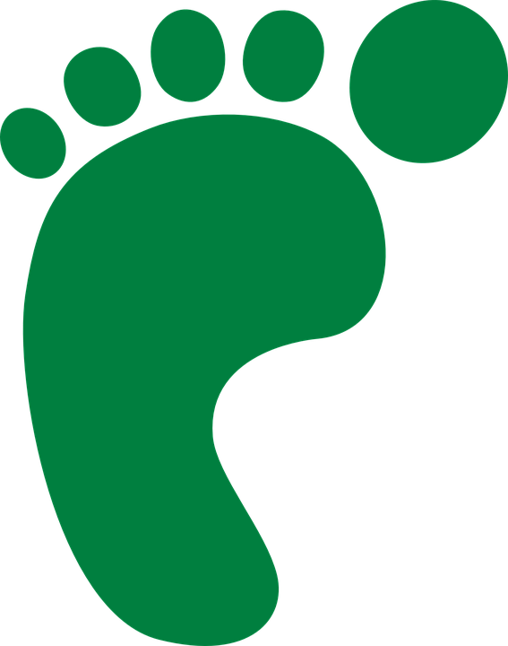 Footprint Template 11, Buy Clip Art - Foot Print (567x720)
