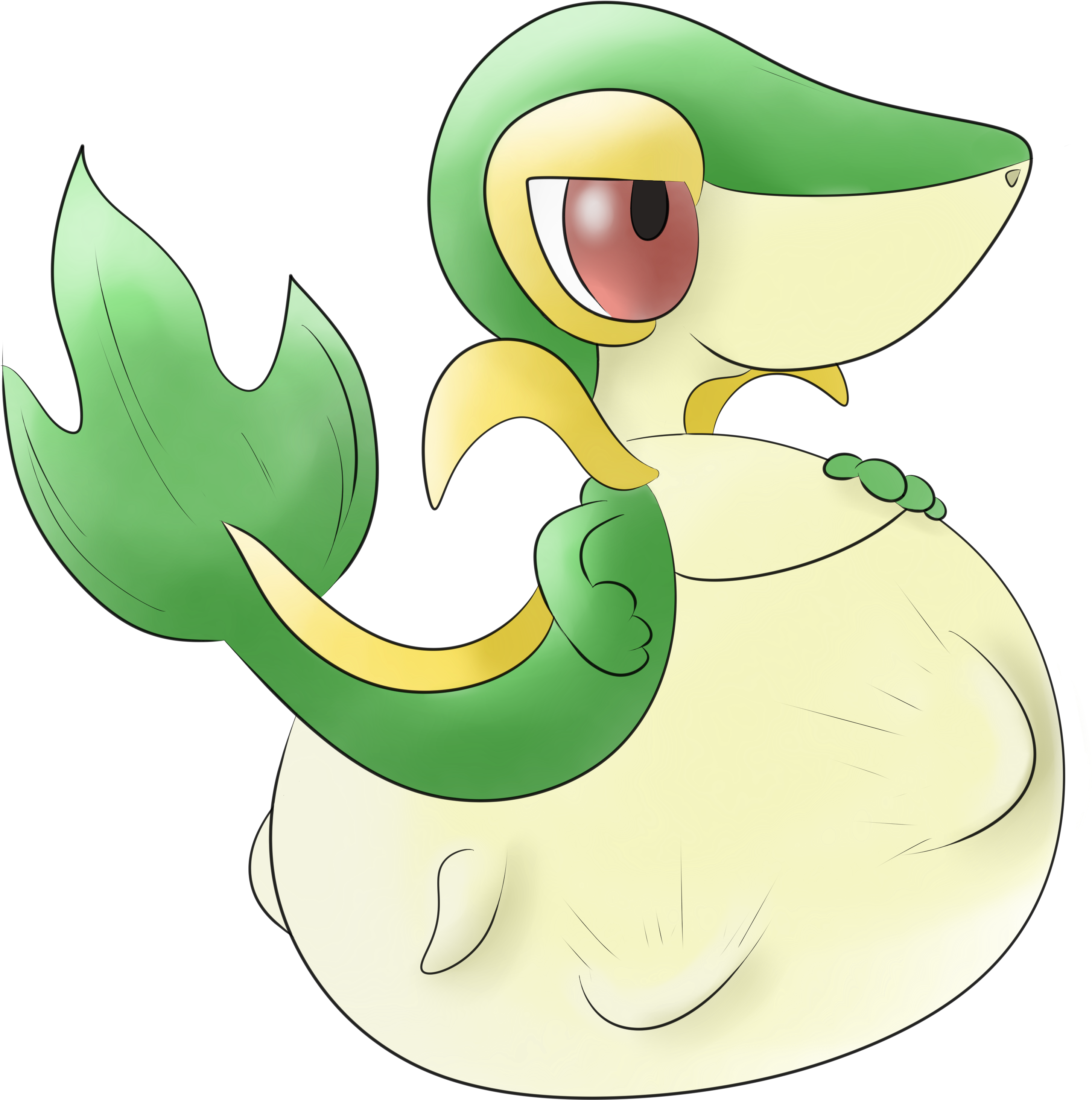 P By Zacktheriolu Snivy Belly Buldge - Pokemon Snivy Vore (3000x3000)