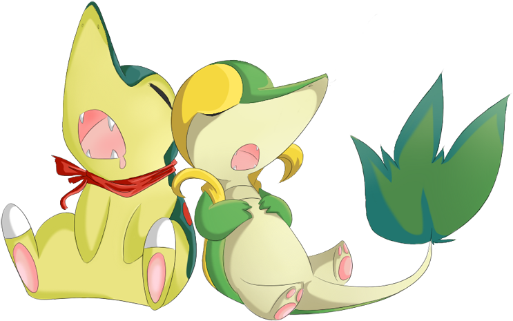 Cuteness Aside, I Love Both, Though Cyndaquil Has Access - Pokemon Cyndaquil And Snivy (800x532)